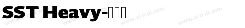 SST Heavy字体转换